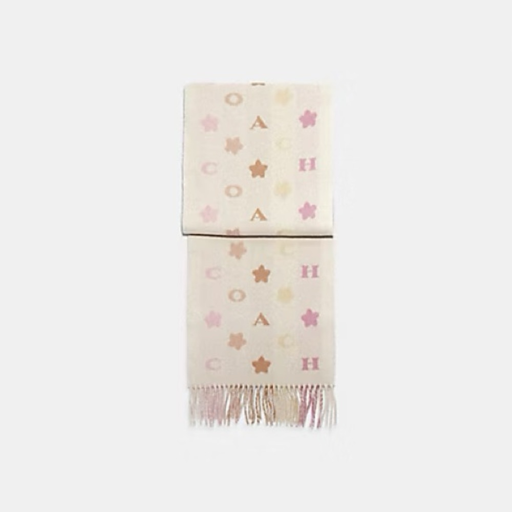 COACH Stars Striped Print Muffler